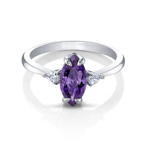 Amethyst - February Birthstone Collection - Bath Bomb